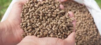 Parimal Cattle Feed