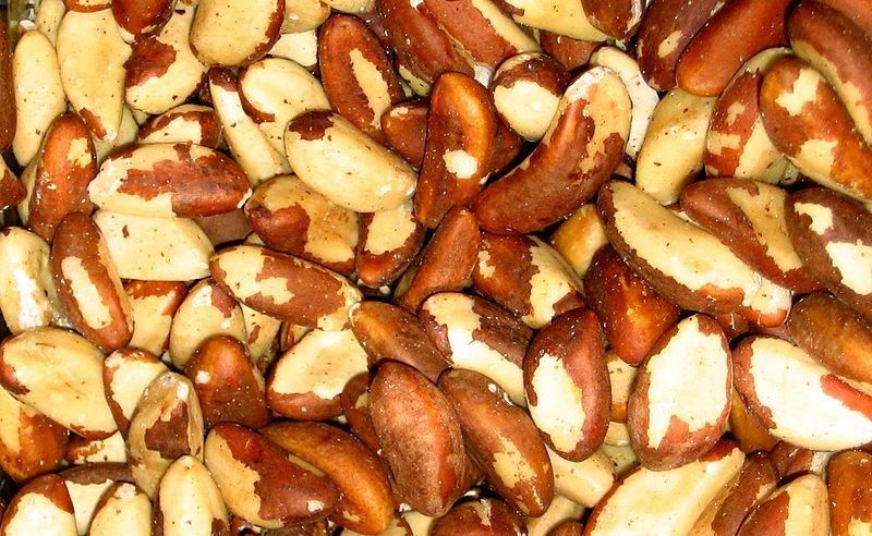 brazil nut