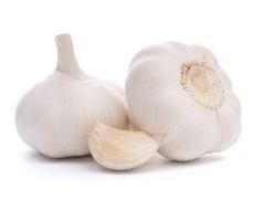 Fresh garlic