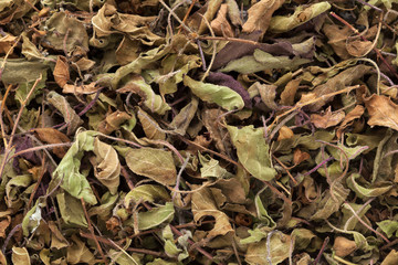 Dried Shyam Tulsi Leaves