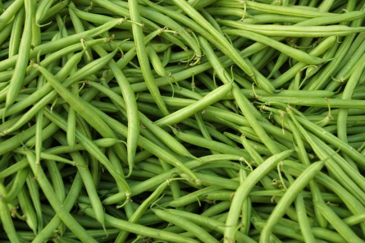 fresh green beans