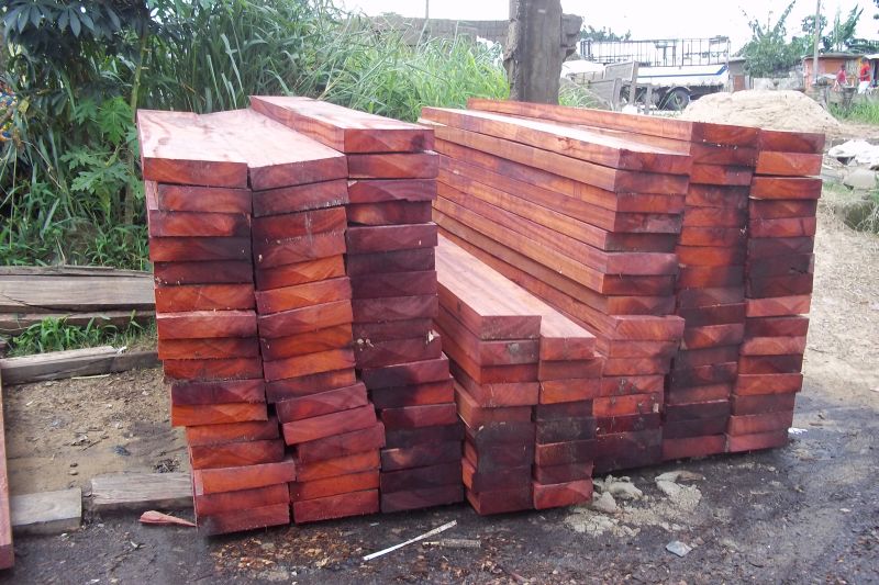 Padouk Sawn Timbers