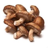 shitakes mushrooms