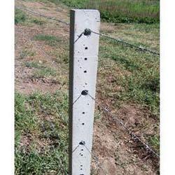 Cement Poles For Boundary Of Agricultural