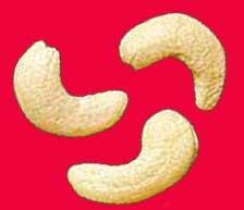 cashew nuts