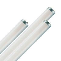 fluorescent tube light