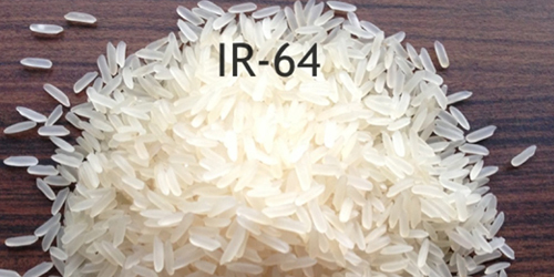 5% Broken IR 64 Long Grain Raw Rice