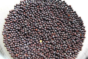 mustard seeds