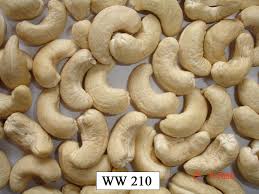 W-210 Whole Cashew Nuts, for Food, Snacks, Sweets, Packaging Type : Pouch, Pp Bag
