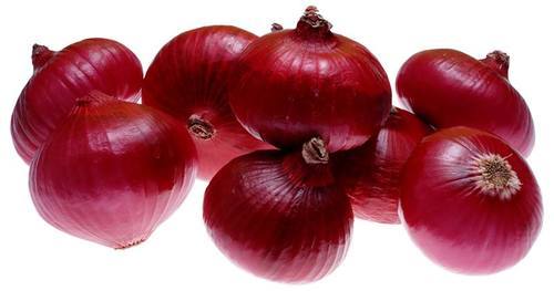 Fresh red onion