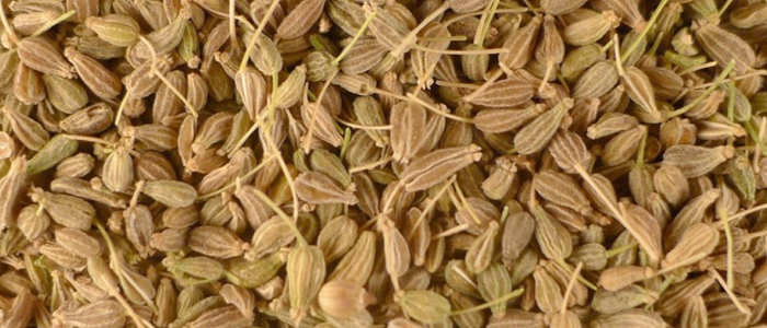 Anise Seeds, Packaging Type : Packed in plastic bags