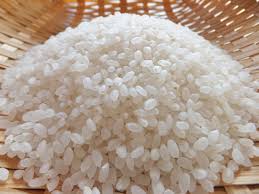 Organic Short Grain Rice, Color : White