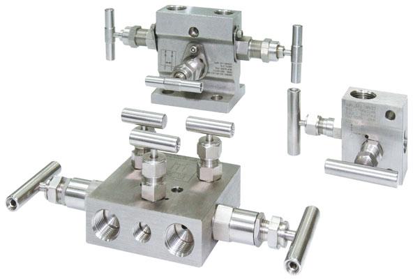 Manifold Valve