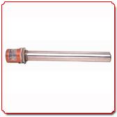 Electric immersion heater