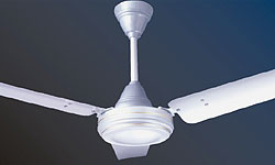 Ceiling Fans