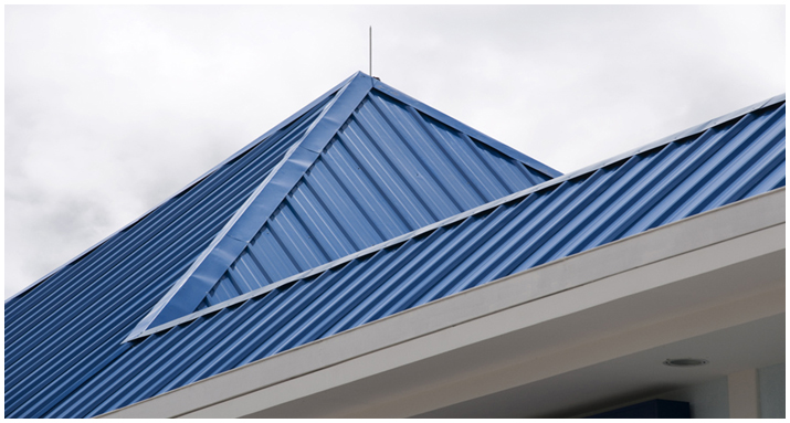 Insulated Panel Roof System