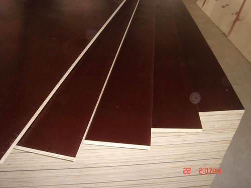 Shuttering Plywood