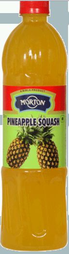 Morton Pineapple Squash