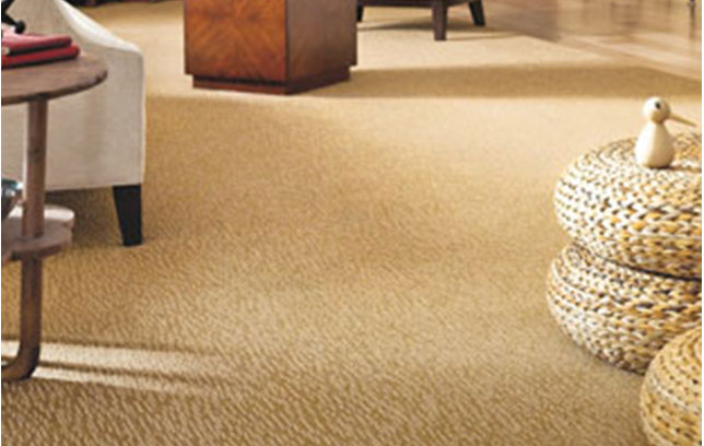 Carpeted floors