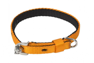 Kennel Soft Nylon Two Color Collar (W = 1/2