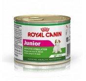 Royal Canin Mini Junior Tin