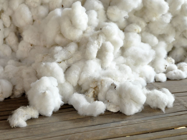 Brazil Raw Cotton