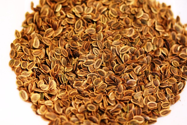 Dill  Seed -  Anethum graveolens seed