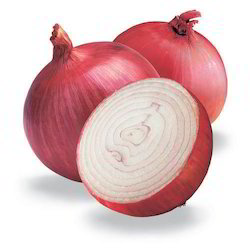 Organic Red Onion