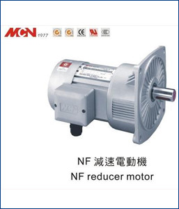 NF Reducer Motor