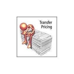 Domestic Transfer Pricing Consultancy