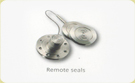 Remote seals
