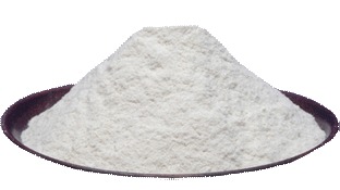 Dehydrated White Onion Powder