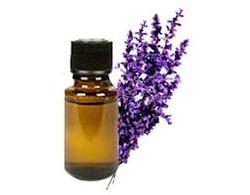 Lavender Attar