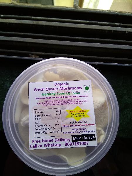 Fresh oyster mushroom