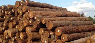 Neem Wood Logs, for Furniture, Grade : A
