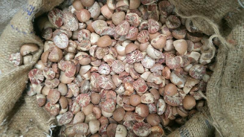 betel nuts