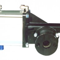 pneumatic actuator