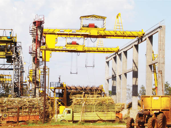 CANE UNLOADING CRANES