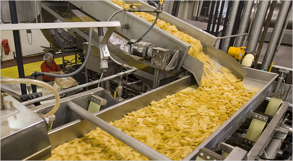 Potato Chips Plant