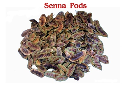 Senna Pods