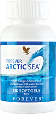 forever arctic sea