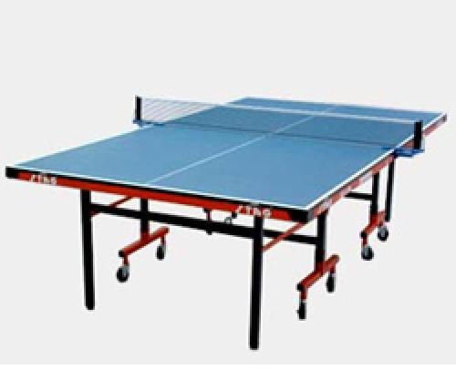 BUTTERFLY TABLE TENNIS TABLE