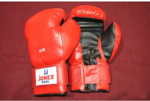 JONEX BOXING GLOVES