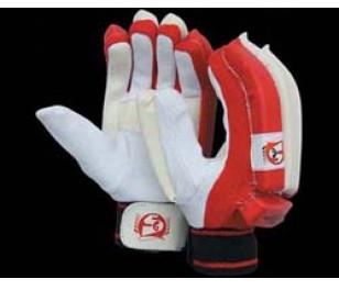 SG Cricket Batting Gloves (Boys Ecolite)