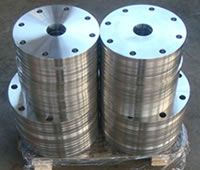 stainless steel flanges