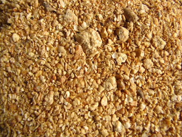 Roasted Full Fat Soybean Meal