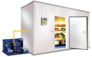 Electric 100-20kg Cold Rooms, Certification : CE Certified