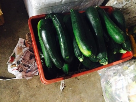 Fresh Green Zucchini, Packaging Size : 10 Kg