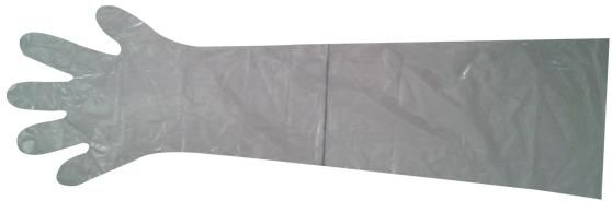 Disposable Plastic Hand Gloves at Best Price in Delhi Norinco Private