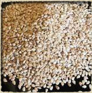Natural Seasame Seeds, Purity : 99%, 98/2